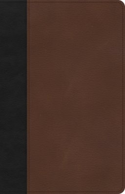 CSB Thinline Bible, Black/Brown LeatherTouch