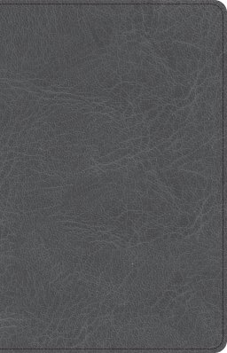 CSB Thinline Bible, Charcoal LeatherTouch