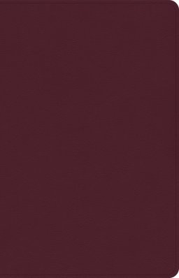 CSB Thinline Reference Bible, Cranberry LeatherTouch