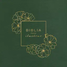 RVR 1960 Biblia para ilustrar, verde símil piel