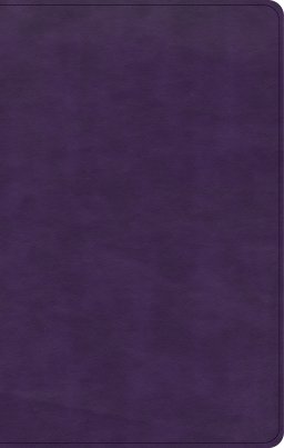 CSB Single-Column Personal Size Bible, Plum LeatherTouch