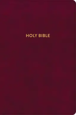 KJV Rainbow Study Bible, Burgundy LeatherTouch