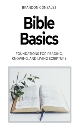 Bible Basics: Foundations for Reading, Knowing, and Living Scripture