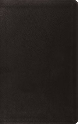 ESV Value Thinline Bible