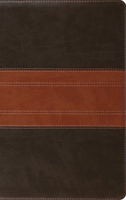 ESV Large Print Personal Size Bible, Red Letter (TruTone, Forest/Tan, Trail Design)