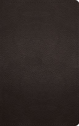 ESV Thinline Bible, Red Letter (Buffalo Leather, Deep Brown)