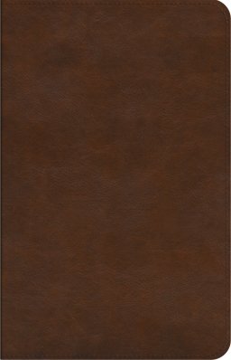 ESV Concise Study Bible, Brown, Imitation Leather, Glossary, Study Notes, Maps, Charts, Illustrations, Articles, Book Introductions