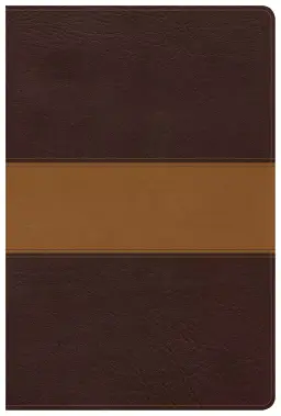 CSB Disciple's Study Bible, Brown/Tan LeatherTouch