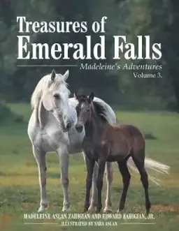 Treasures of Emerald Falls: Madeleine's Adventures - Volume 3.