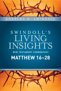 Insights on Matthew 16--28