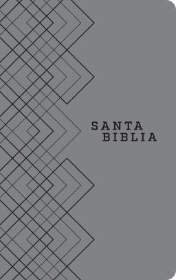 Santa Biblia NTV, Edición ágape (SentiPiel, Gris)