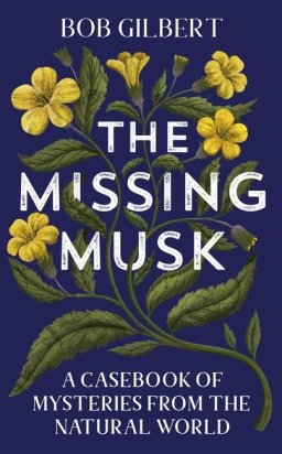 The Missing Musk