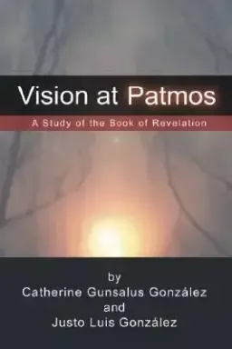 Vision at Patmos