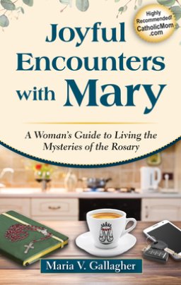 Joyful Encounters with Mary: A Woman's Guide to Living the Mysteries of the Rosary