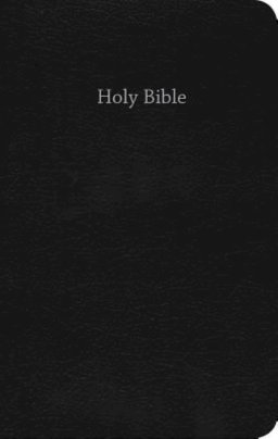 CEB Common English Bible Gift & Award Black Red Letter Edition