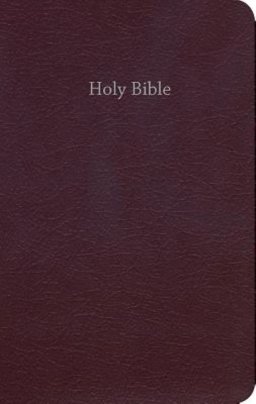 CEB Common English Bible Gift & Award Burgundy Red Letter Edition