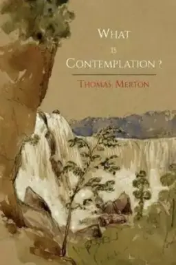 What Is Contemplation?