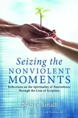 Seizing the Nonviolent Moments