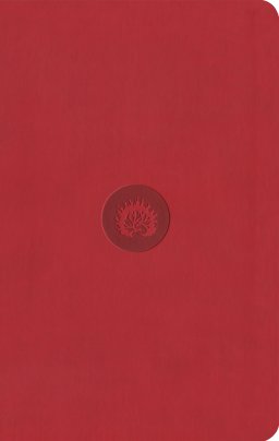 ESV Reformation Study Bible, Student Edition - Red, Leather-Like