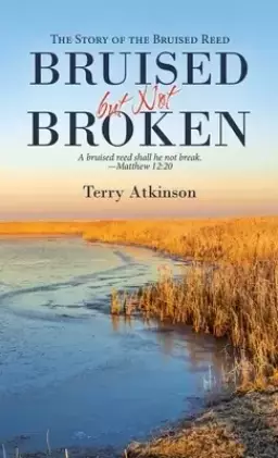 Bruised but Not Broken: The Story of the Bruised Reed