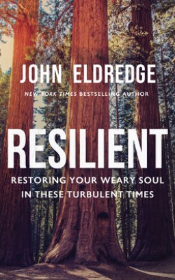 Resilient: Restoring Your Weary Soul in These Turbulent Times