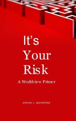 It's Your Risk: A Worldview Primer