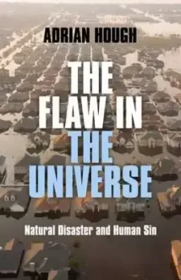 The Flaw in the Universe