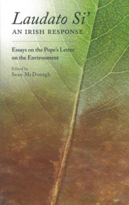 Laudato Si: An Irish Response: Essays on the Pope's Letter on the Environment