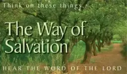 50 x The Way of Salvation Tracts