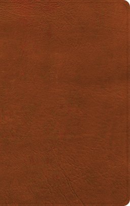 NASB Single-Column Personal Size Bible, Burnt Sienna LeatherTouch