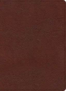 KJV Study Bible, Large Print Edition, Brown Bonded Leather