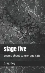 stage five: poems about cancer and cats