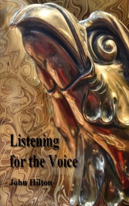 Listening for the Voice: and other reasons for silence