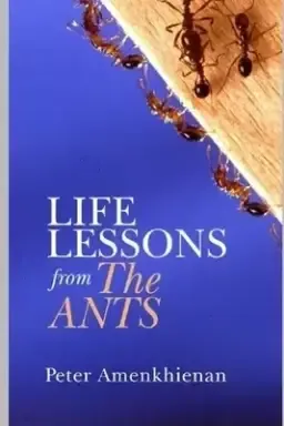 Life Lessons from the Ants