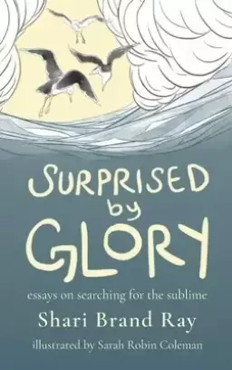 Surprised by Glory: Essays on Searching for the Sublime