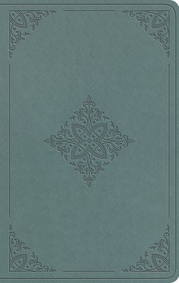 ESV Value Thinline Bible (TruTone, Paris Sky, Fleur-de-lis Design)