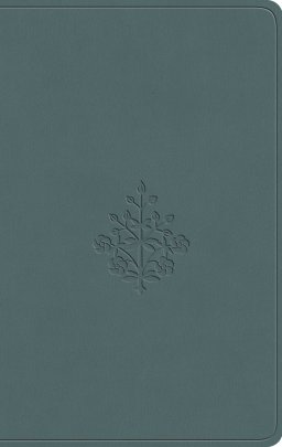 ESV Value Compact Bible (TruTone, Paris Sky, Branch Design)