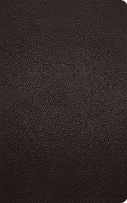 ESV Thinline Bible, Red Letter (Buffalo Leather, Deep Brown)