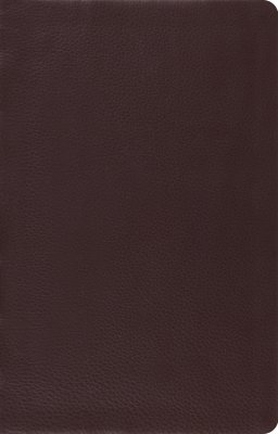 ESV Large Print Thin Reference Bible