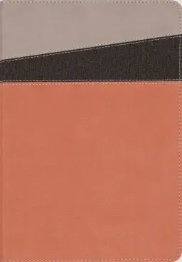 NIV Application Bible, Leathersoft, Coral/Gray, Red Letter, Comfort Print