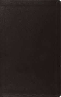 ESV Value Thinline Bible (TruTone, Black)