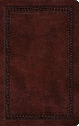 ESV Thinline Bible, Red Letter (TruTone, Mahogany, Border Design)