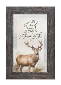 Plaque-Metalscapes-The Lord Stood (8" x 12")