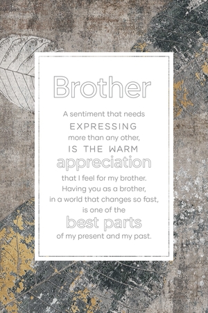 Plaque-Everyday-Brother (6 x 9)