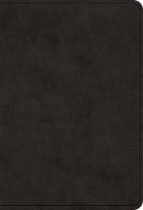 ESV Value Large Print Compact Bible, Red Letter (TruTone, Black)