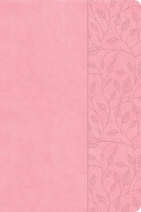 CSB Large Print Thinline Bible, Value Edition, Soft Pink