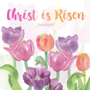 Christ is Risen Easter cards (Pack of 5)