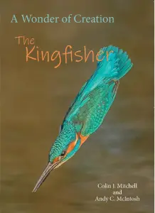 Wonder of a Kingfisher