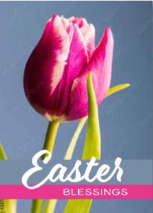 Tulip Easter Blessings Cards - Pack of 4