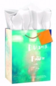 Gift Bag-Specialty-Bold Dreams  Bright Future-Psalm 84:11-Medium